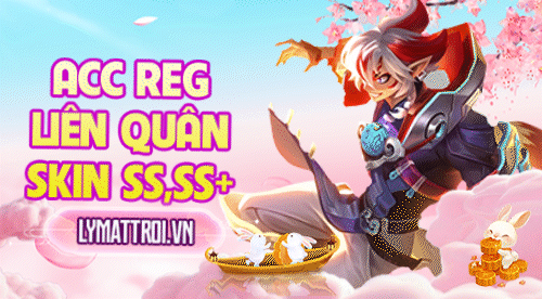 ACC REG SKIN SS, SS+